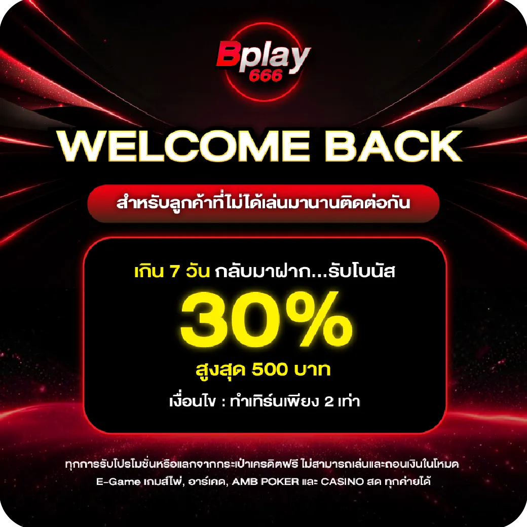promotion4 bplay666